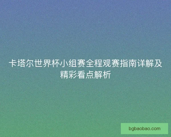 卡塔尔世界杯小组赛全程观赛指南详解及精彩看点解析