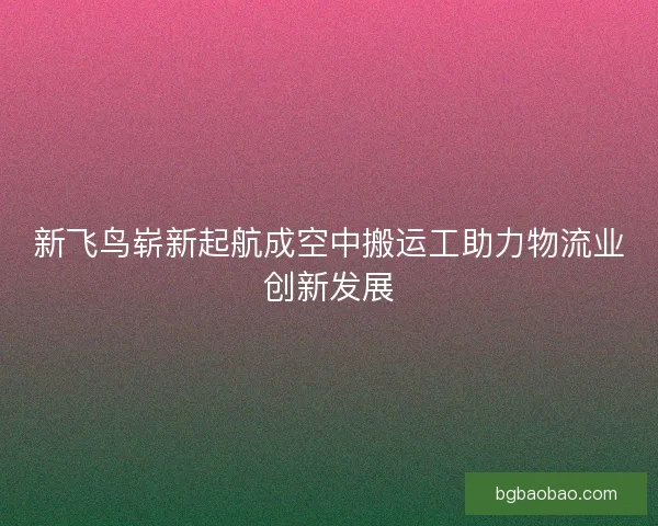 新飞鸟崭新起航成空中搬运工助力物流业创新发展