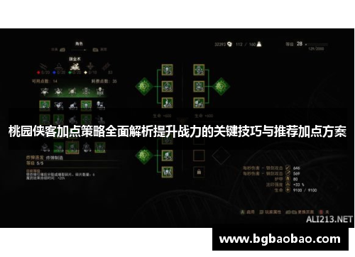 桃园侠客加点策略全面解析提升战力的关键技巧与推荐加点方案