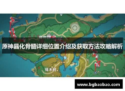 原神晶化骨髓详细位置介绍及获取方法攻略解析