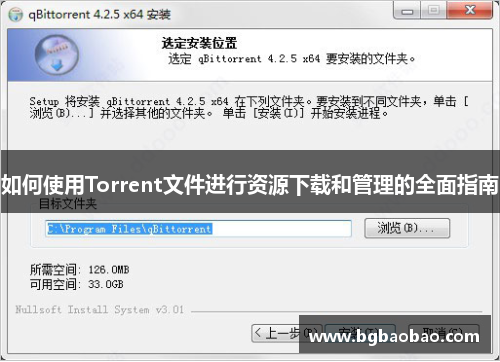 如何使用Torrent文件进行资源下载和管理的全面指南